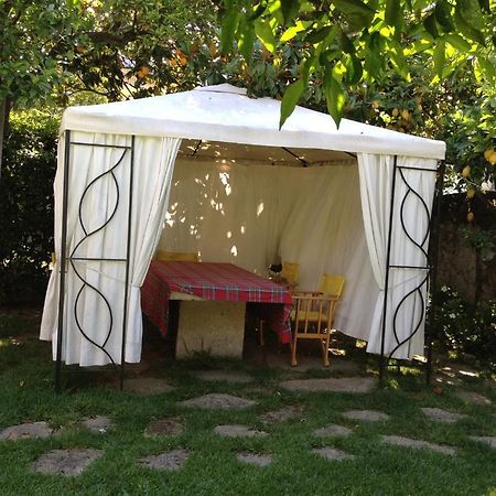 Casa Do Pinheiro - Turismo De Habitacao Hotel ปอนเตเดอลิมา ภายนอก รูปภาพ