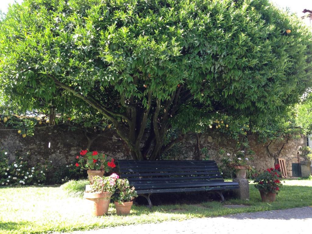 Casa Do Pinheiro - Turismo De Habitacao Hotel ปอนเตเดอลิมา ภายนอก รูปภาพ